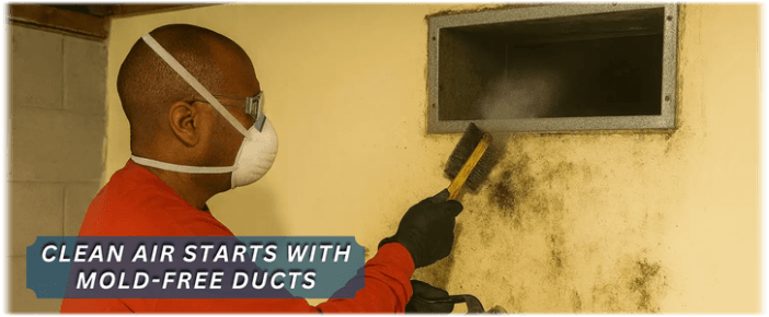 Air Duct Mold Removal in Renton