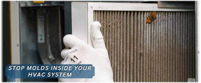 HVAC Mold Removal Renton
